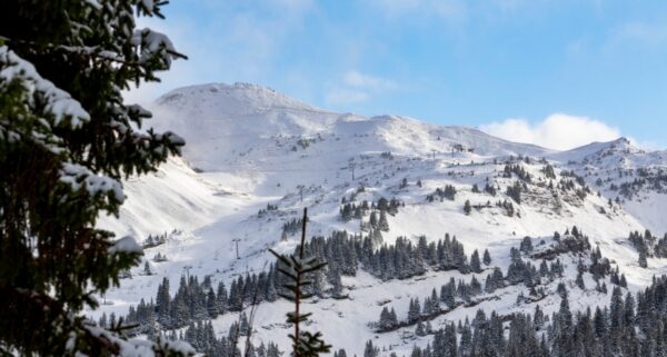 Nouvel An 2025 – Chalet « Le Nid Alpin » – Châtel – Image 2