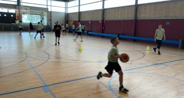 Été - Basketball Camp