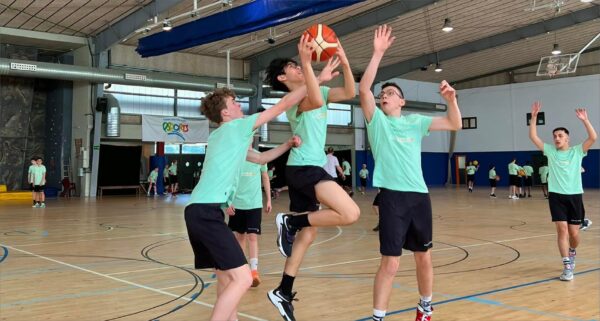 Belgian55 Basketball Camp – Image 5