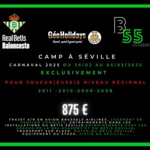 Seville - Basketball Camp