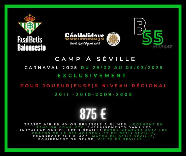 Seville - Basketball Camp