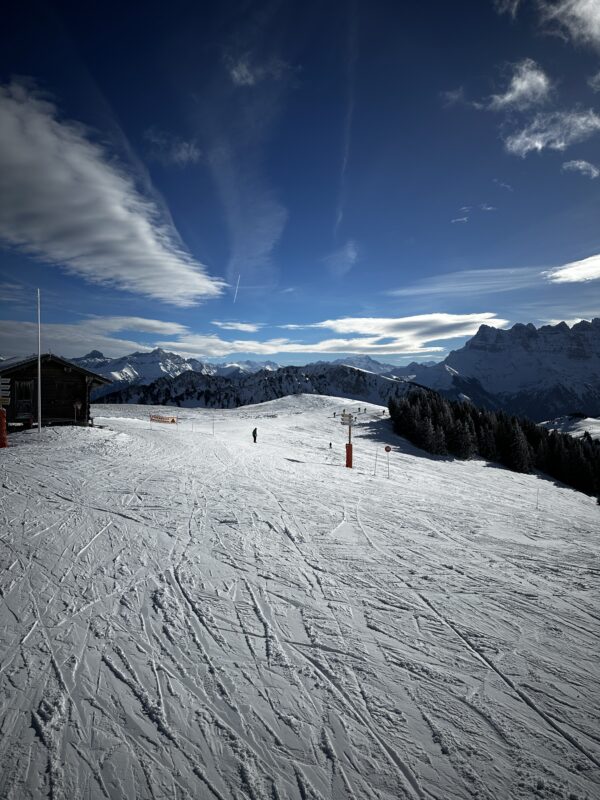 Carnaval 2025 – Chalet « Le Nid Alpin » – Châtel – Image 8