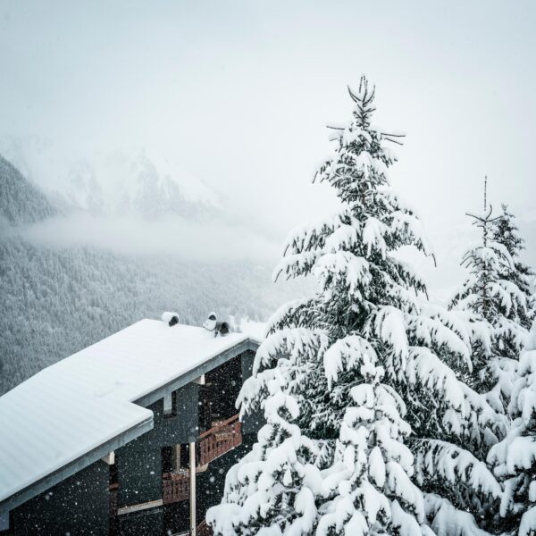 Nouvel An 2025 – Chalet « Le Nid Alpin » – Châtel